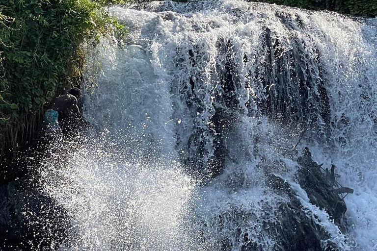 Arusha : Visite du café Materuni avec sources d&#039;eau chaude et déjeuner