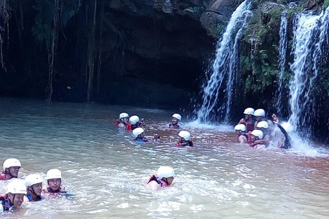 Nairobi: Caminhada pela Floresta Ngare Ndare e Canopy WalkNairobi: Caminhada pela Floresta Ngare Ndare e Passeio pela Copas das Árvores