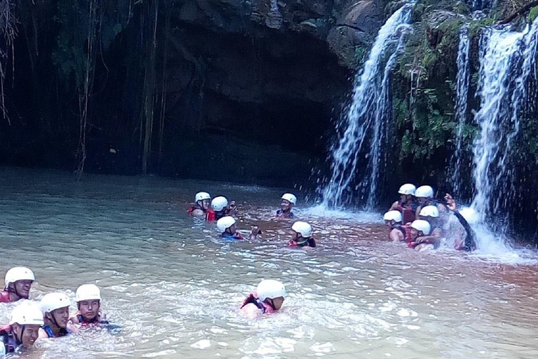 Nairobi: Caminhada pela Floresta Ngare Ndare e Canopy WalkNairobi: Caminhada pela Floresta Ngare Ndare e Passeio pela Copas das Árvores