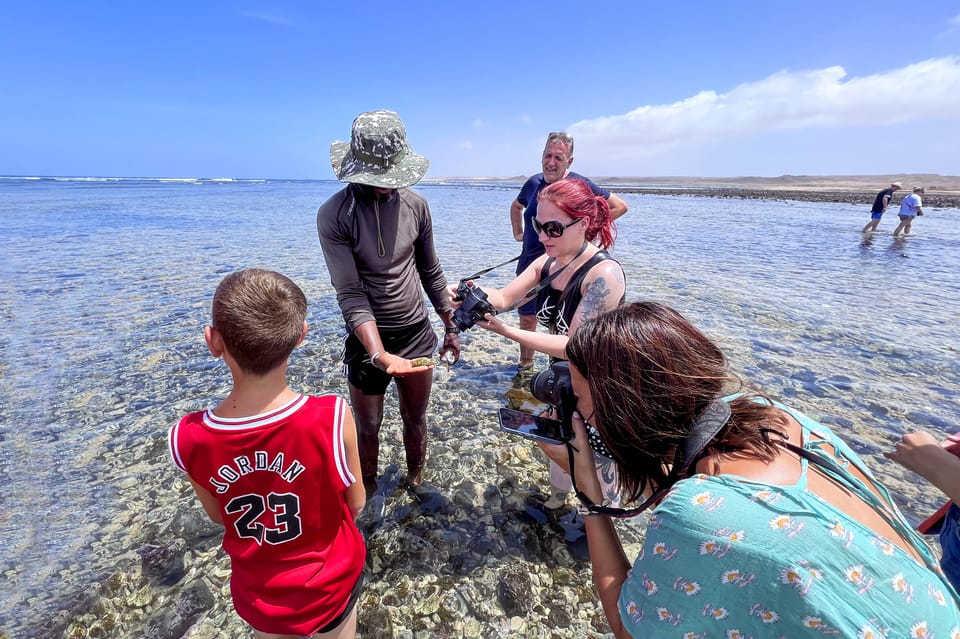 group island tour