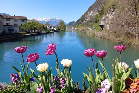 Sky Glass Bus Tour to Interlaken, Grindelwald &Lauterbrunnen