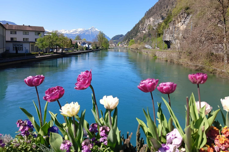 Sky Glass Bus Tour to Interlaken, Grindelwald &Lauterbrunnen