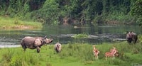 De Katmandou ou Pokhara,Luxury 4 jours Chitwan Tour Package - Hizvo