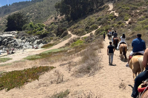 Papudo: Horseback Riding, Penguin Watching, and Sailing