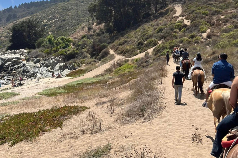 Papudo: Horseback Riding, Penguin Watching, and Sailing