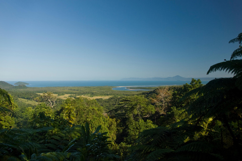 Cabo Tribulação: Daintree, Mossman Gorge e Port Douglas...