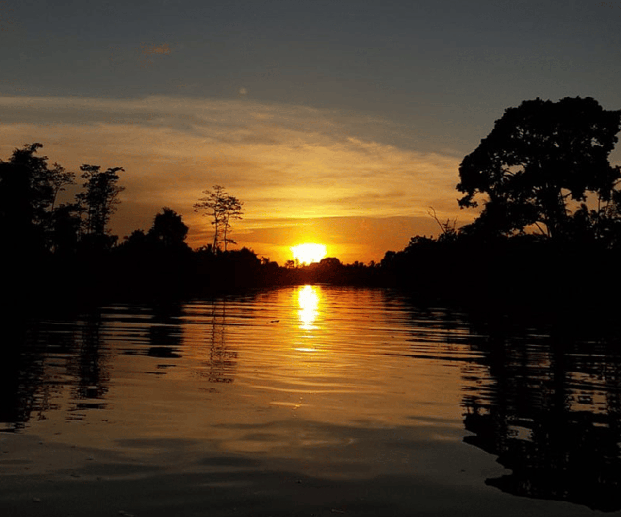 Sabah: Klias River Cruise Tagestour Ticket