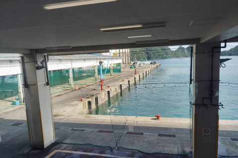 Wakayama: Learn & Taste Japan Tuna Culture in Nachikatsuura