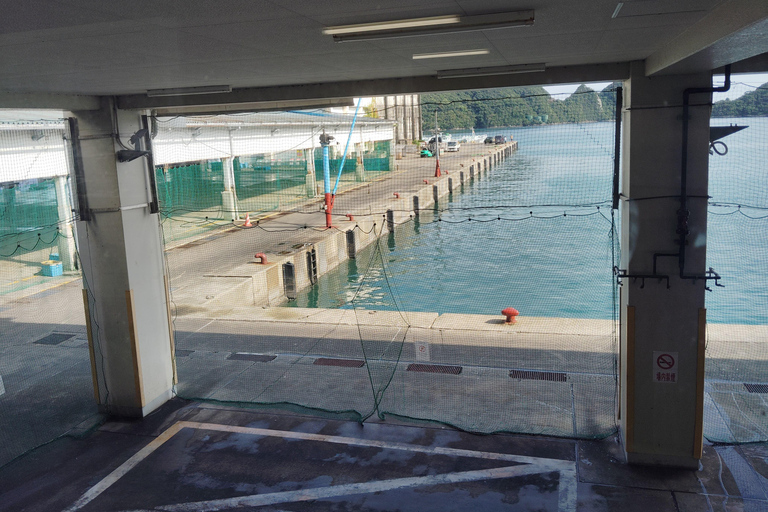 Wakayama: Learn & Taste Japan Tuna Culture in Nachikatsuura