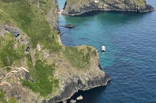 Belfast: Giants Causeway Cruise Ship Halbtagestour Whizz Tour