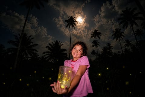 Bali: Taro Village Firefly Tour with Rice Paddies Walk