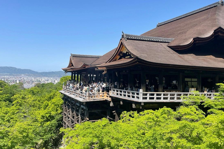 Kyoto: Kiyomizu-dera &amp; Fushimi Inari Halfdaagse tour