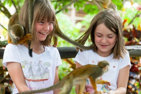 Punta Cana: Halbtägige Safari durch Monkey Land