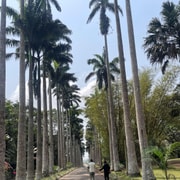 A Day in Kumasi