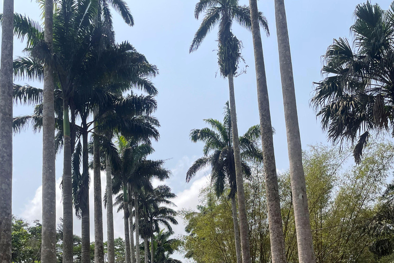 Ghana: 10-Day History and Adventure