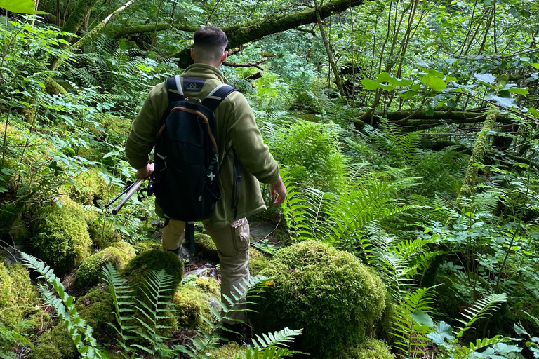 Bergen: Hidden Spots On-Shore Fishing Experience