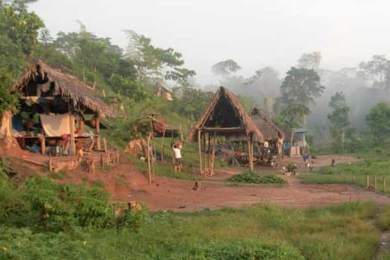 Tour to the indigenous communities of the Amazon Iquitos