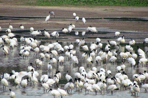 Bangalore: Agara Lake Walking Tour with Coffee