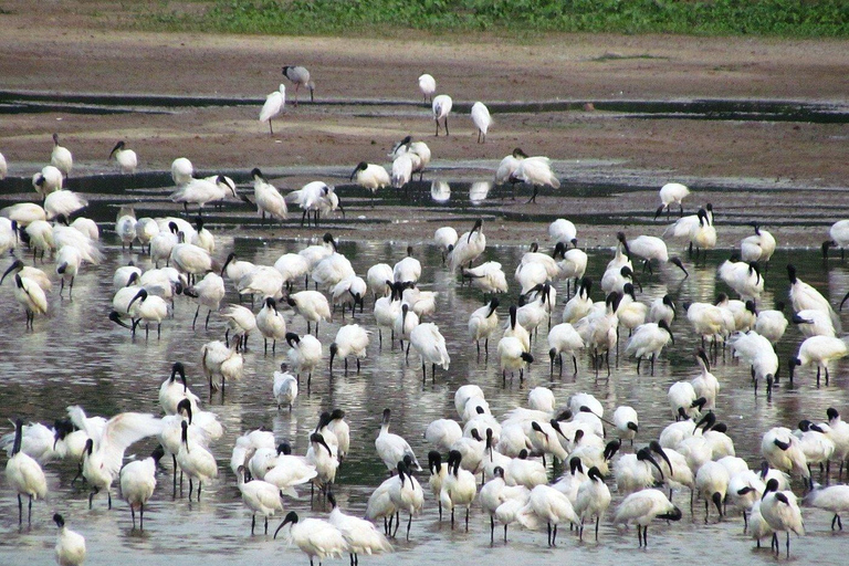 Bangalore: Agara Lake Walking Tour with Coffee