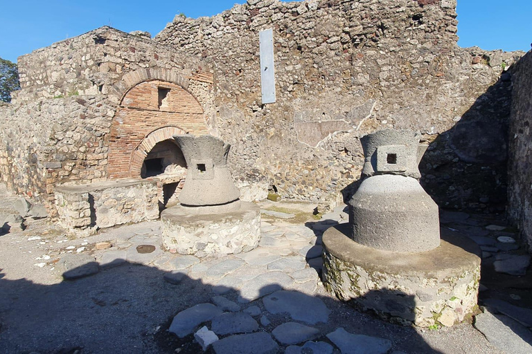 Naples/Salerno Port: Pompeii & Herculaneum - Optional lunch FROM NAPLES: Semi Private Group - NO LUNCH