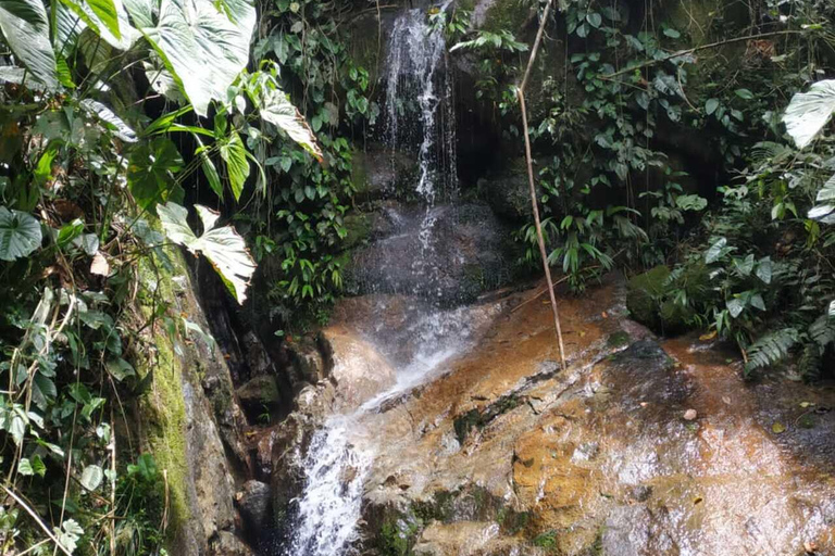 Observação de pássaros TUDO incluído - De Medellín