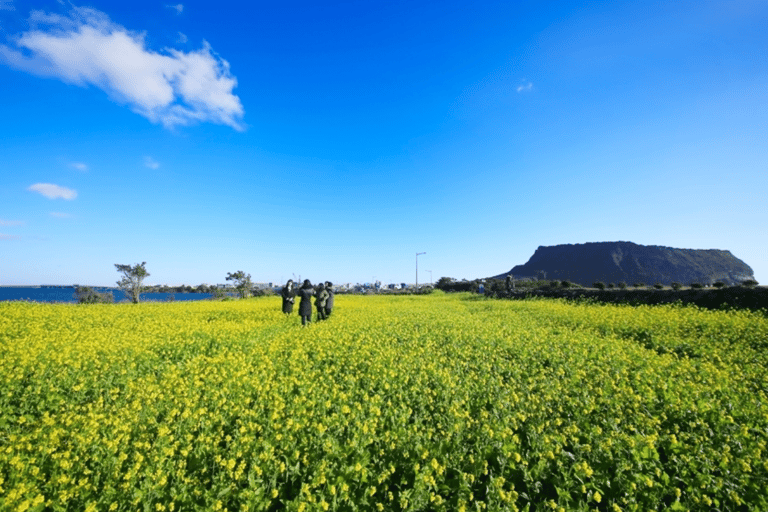 Jeju Island : UNESCO Heritage Day Tour for Cruise Passengers