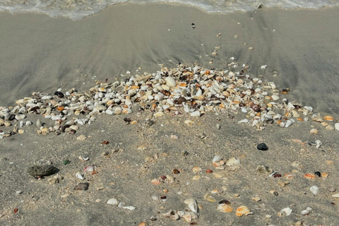 Sharjah: Al Khan Beach Tour with Hotel Transfers & Snacks