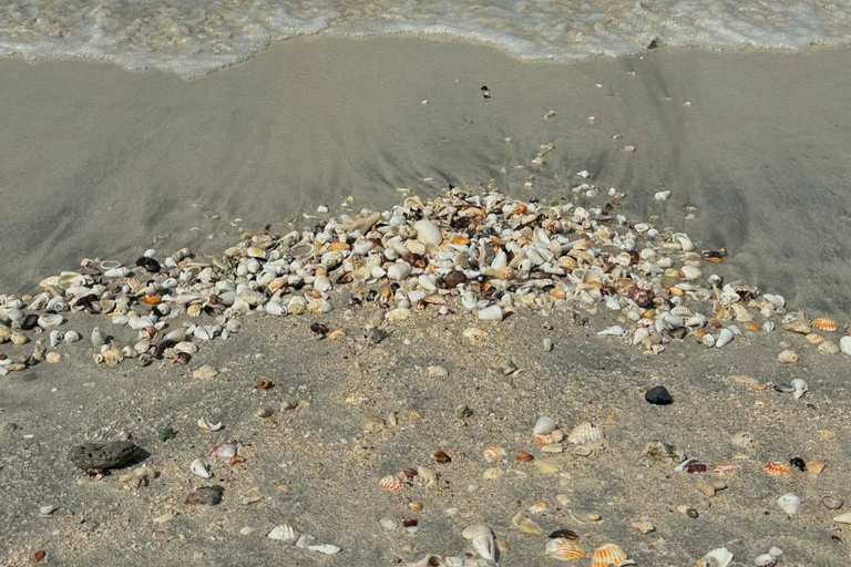 Sharjah: Al Khan Beach Tour with Hotel Transfers & Snacks