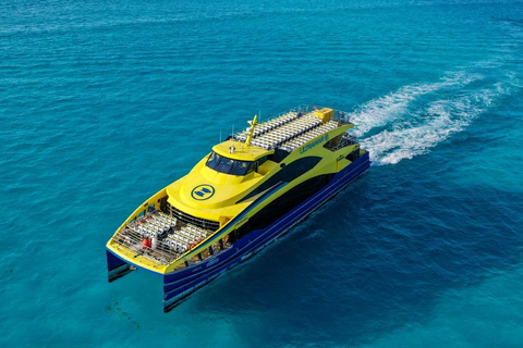 Playa del Carmen: On Board to Cozumel Tour with Lunch