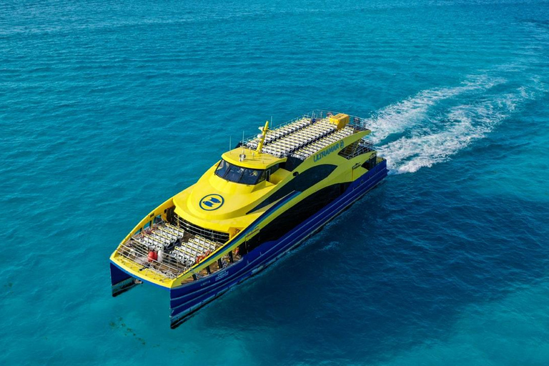 Playa del Carmen: On Board to Cozumel Tour with Lunch