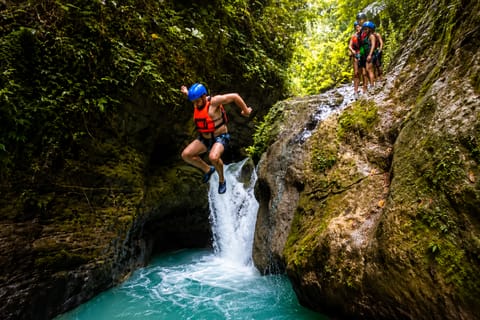 Cebu: Moalboal Sardine Run & Kawasan Canyoneering - Image 2
