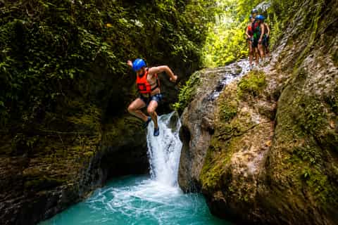 Cebu: Moalboal Sardine Run & Kawasan Canyoneering - Image 3