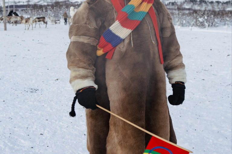 From Tromsø: Sami Culture and Reindeer Feeding