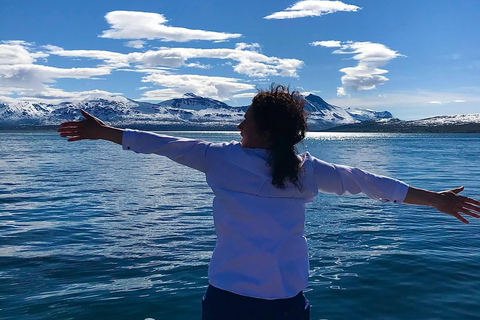 Tromsø: Summer Evening Cruise with Activities