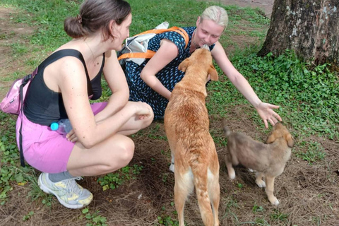 From Arusha: Ilkidinga Village and Napuru Waterfalls Tour