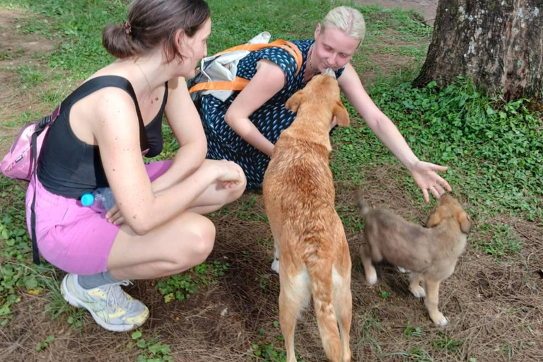 From Arusha: Ilkidinga Village and Napuru Waterfalls Tour