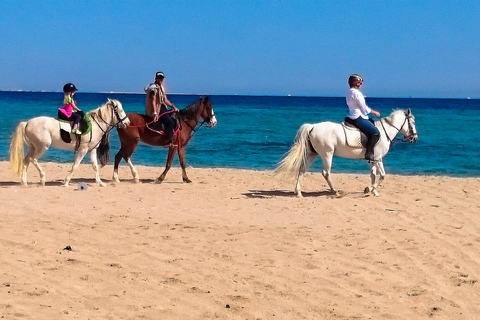 El Gouna : Randonnée à cheval dans le désert et la mer avec baignade en option1 heure de quad + 1 heure d&#039;équitation — Combo double aventure