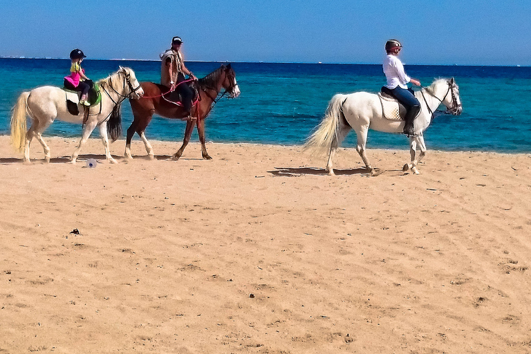 El Gouna : Randonnée à cheval dans le désert et la mer avec baignade en option1 heure de quad + 1 heure d&#039;équitation — Combo double aventure