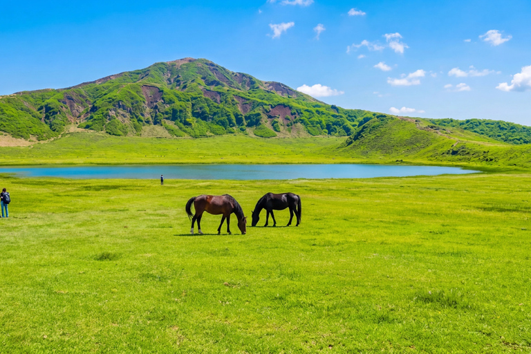 Mt. Aso & Takachiho Gorge Tour with Optional Boat Ride 7:50 AM One-day tour (including Takachiho cruise)