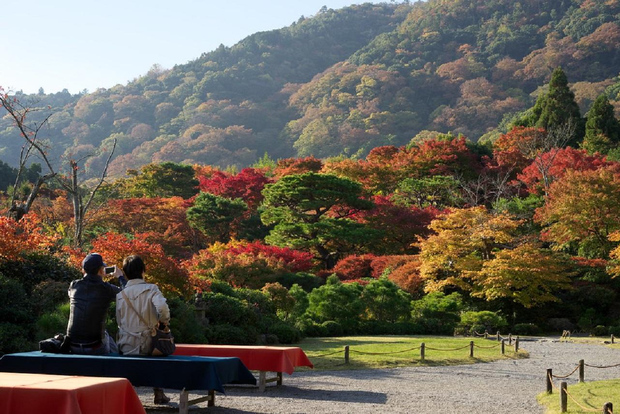 Kyoto: bambù di Arashiyama, ponte Togetsukyo, Sanso e altro ancora