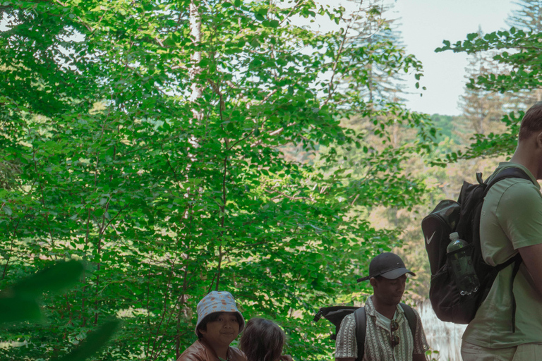 Zadar : Visite guidée des lacs de Plitvice avec billets