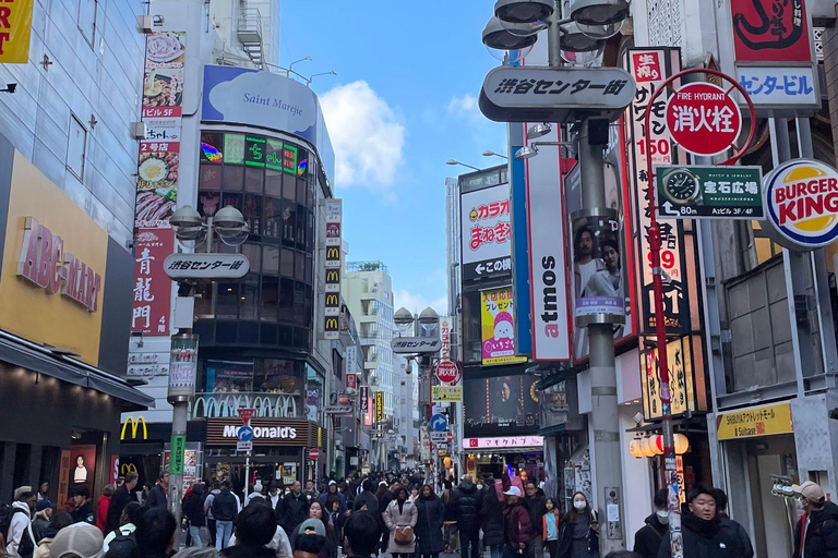 Tokyo en 4 heures (Meiji Jingu, Harajuku, Shibuya, Shijuku)