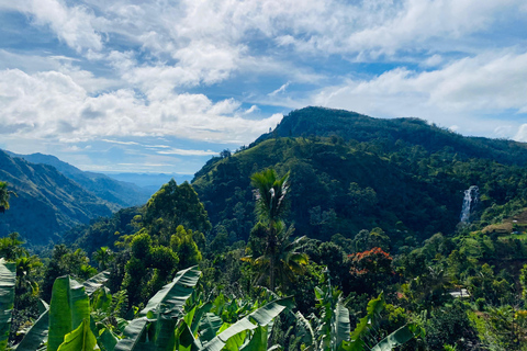 Guided Tours of Sri Lanka