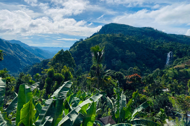 Guided Tours of Sri Lanka