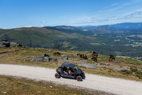 4 uur Buggytoer - Arcos de Valdevez - Peneda Gerêsbuggy 4 personen