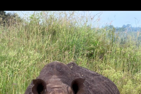 Nairobi National Park Half-Day Safari – Wildlife Game Drive