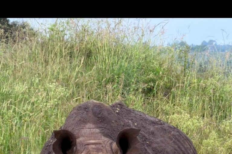 Nairobi National Park Half-Day Safari – Wildlife Game Drive
