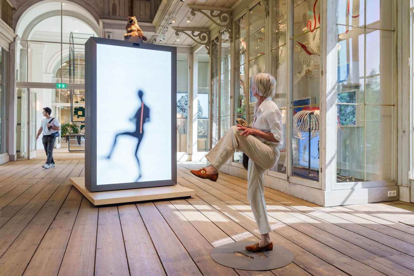 Amsterdam: ARTIS-Groote Museum Entry Ticket