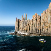 From Hobart: Port Arthur Cape Raoul Wilderness Cruise