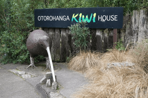 From Auckland: Waitomo Caves and Kiwi House Group Tour